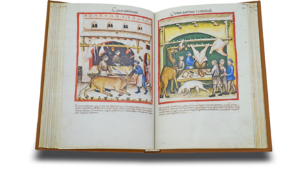 Tacuinum Sanitatis in Medicina Facsimile Edition