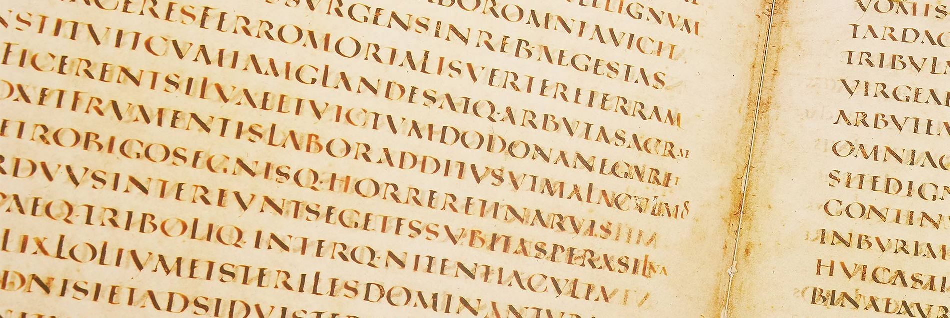 <i>“Pioneering medieval book art”</i>