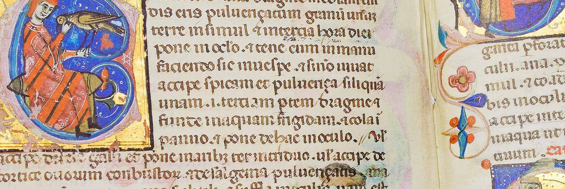 <i>“The template for Emperor Frederick's famous falcon book”</i>