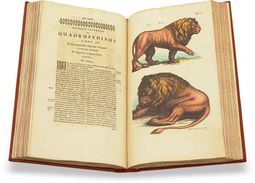 Historia Naturalis: De Quadrupedibus – Siloé, arte y bibliofilia – Private Collection