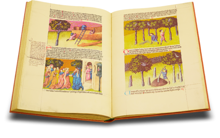 Liber de natura rerum - Codex C-67 Facsimile Edition