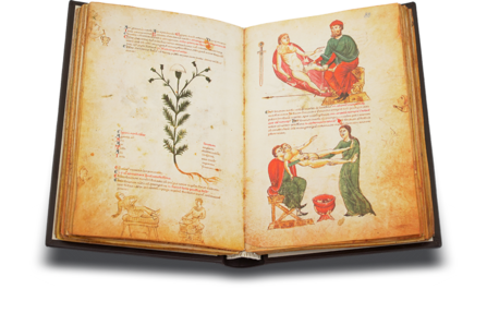 Medicina Antiqua Facsimile Edition