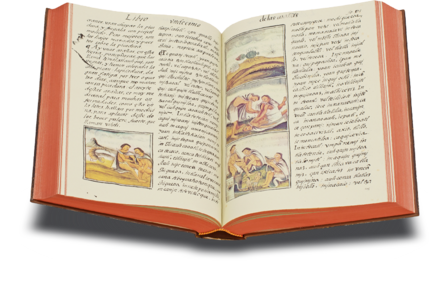 Bernardino da Sahagún: Historia Universal de las cosas de Nueva España Facsimile Edition