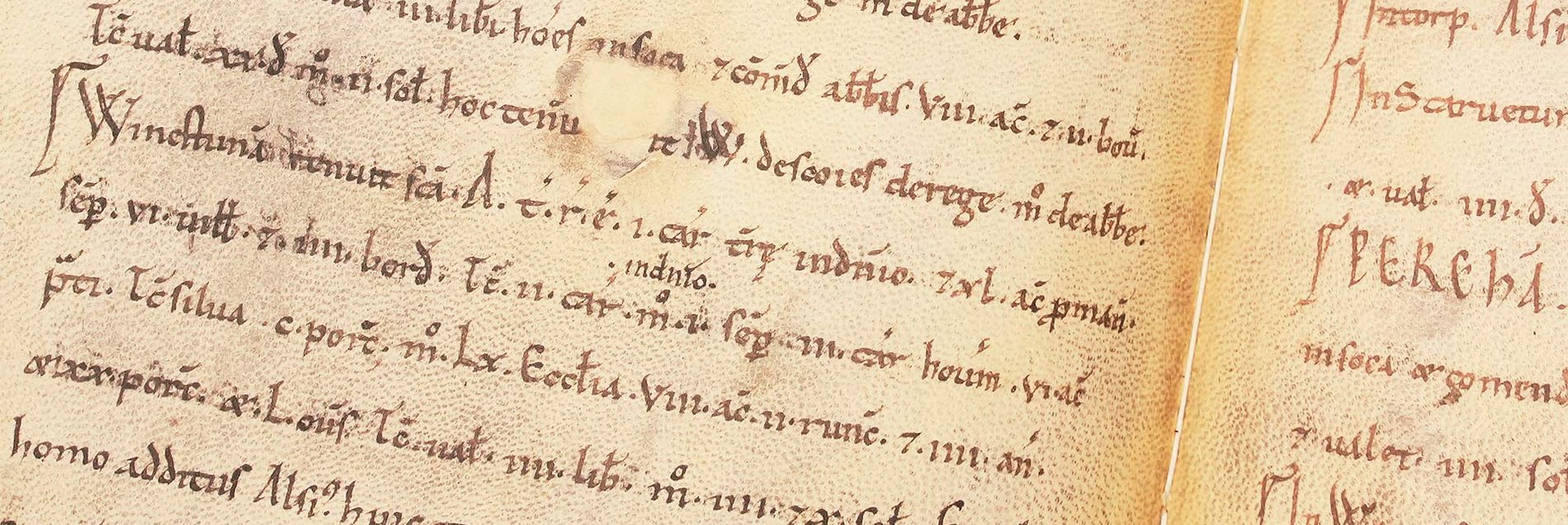 <i>“Not a doomsday proclamation, but amazingly detailed records on the lands of Essex, Norfolk, and Suffolk”</i>