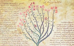 Botany / Herb Books