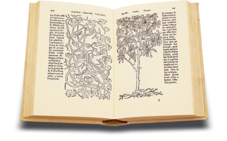 Historia de Yervas y Plantas Facsimile Edition