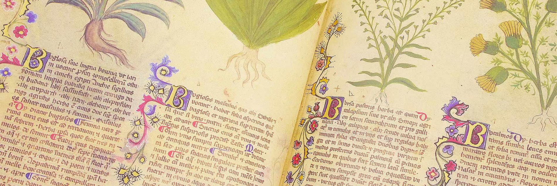 Our Recommendation <i>››A royal gift from the court of the powerful Gian Galeazzo Visconti‹‹</i>