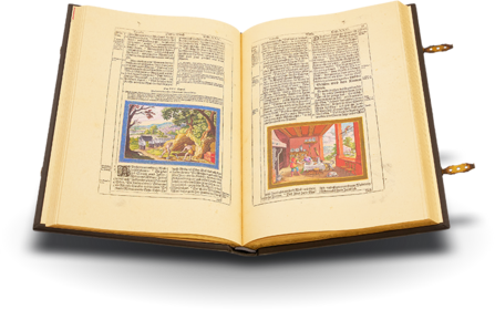 Matthew Merian's Bible of 1630 - Old Testament Facsimile Edition