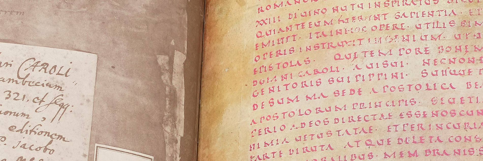 <i>“The most important documents on the relationship between the Frankish Empire and the Papacy”</i>