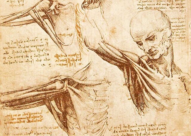 Leonardo da Vinci - Wikiwand