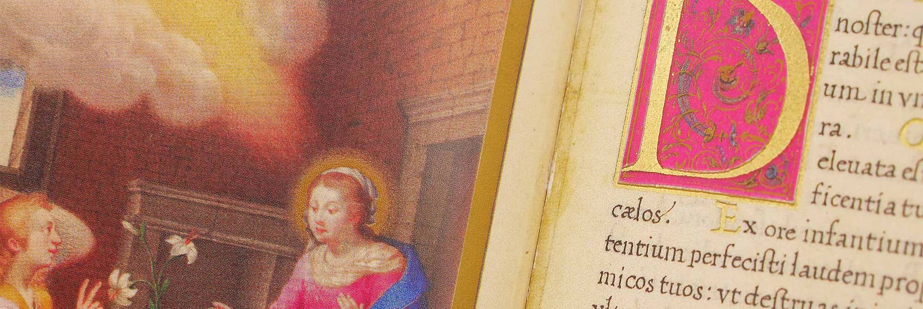 <i>“Realism and amazing details in a treasure of late book illumination”</i>