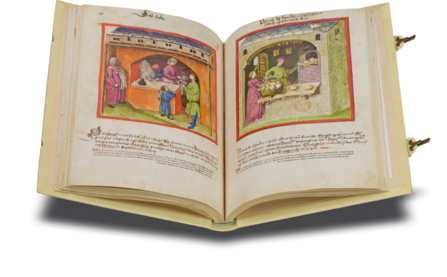 Tacuinum Sanitatis - Codex Paris Facsimile Edition