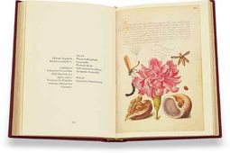 Model Book of Calligraphy – Faksimile Verlag – Ms. 20 (86. MV. 527) – J. Paul Getty Museum (Los Angeles, USA)