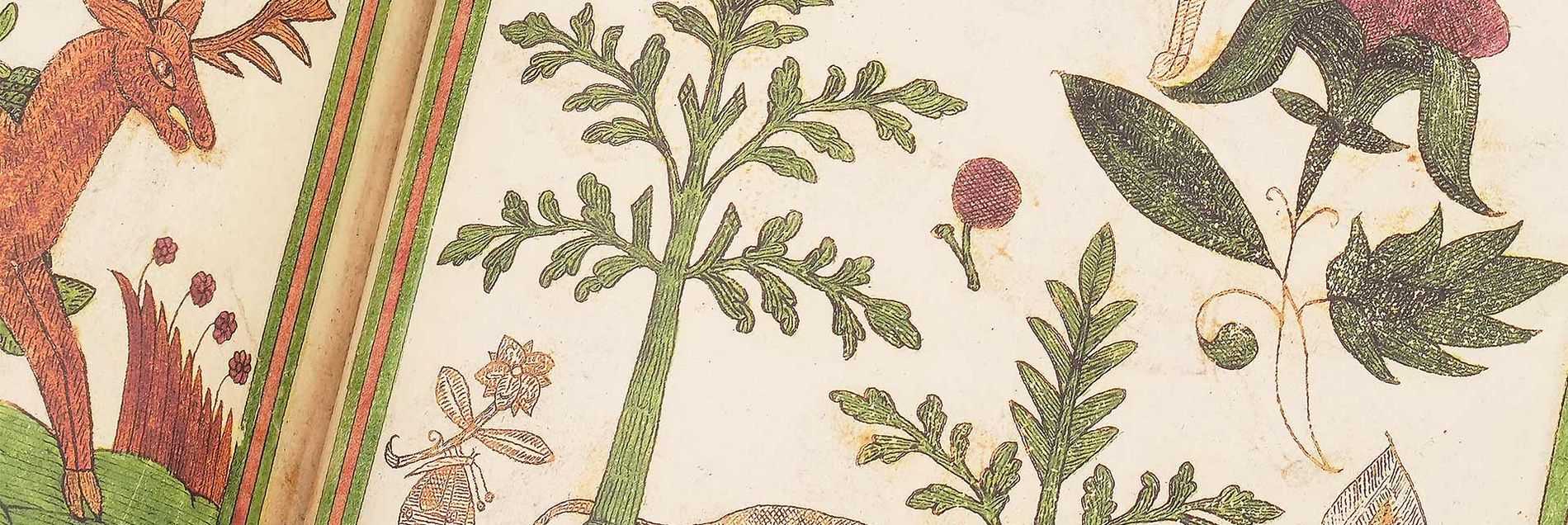 <i>“A sumptuous anthology serves as a fascinating panopticon of everyday life in the 16th century”</i>