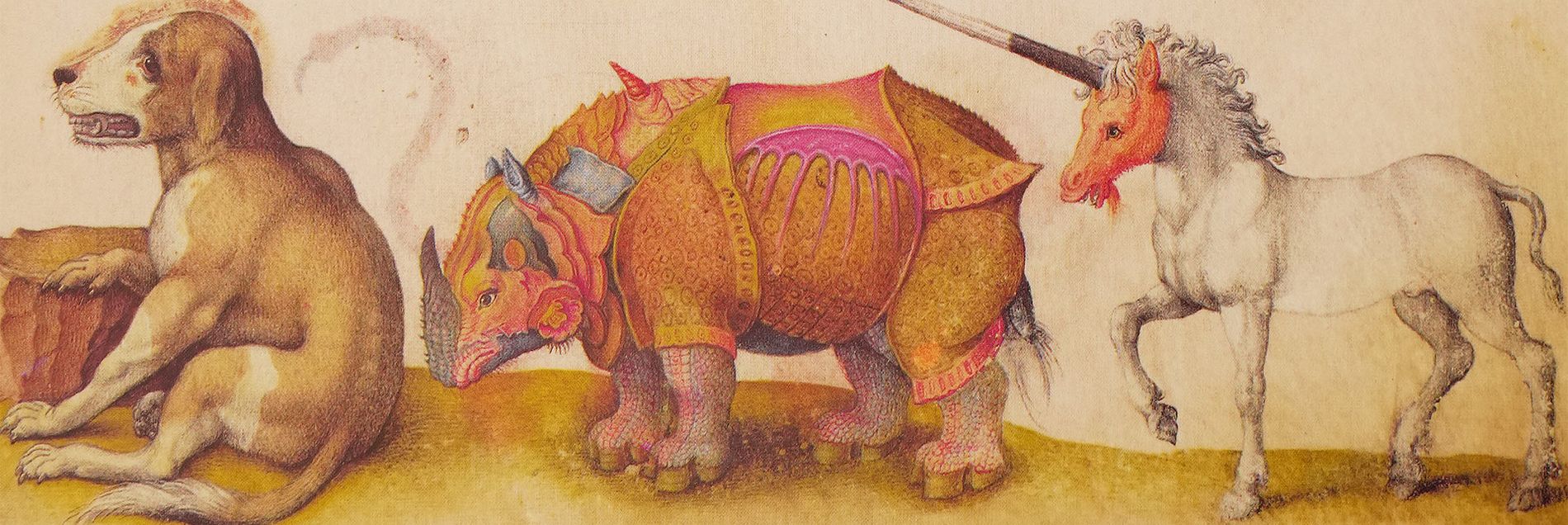 <i>››With almost 500 captivating, naturalistic depictions of animals‹‹</i>