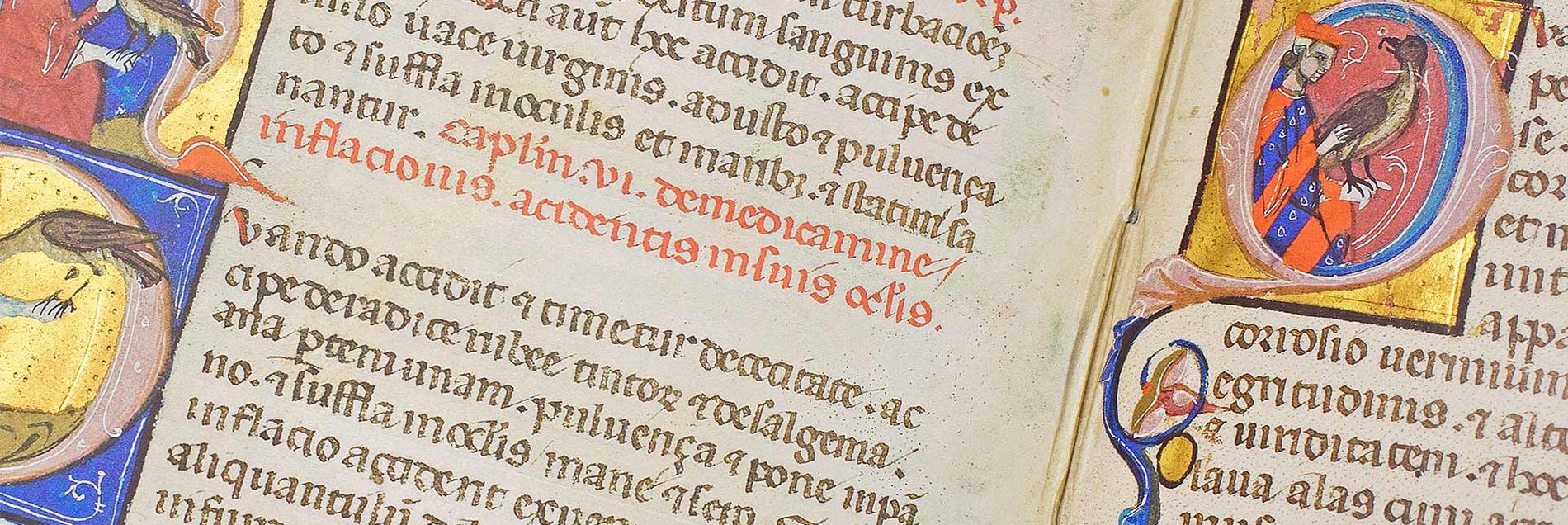 <i>“The template for Emperor Frederick's famous falcon book”</i>
