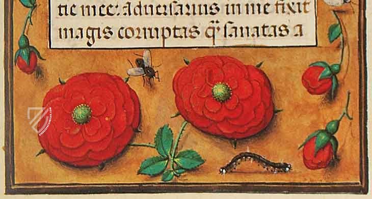 Book of Drolleries - The Croy Hours – Faksimile Verlag – Cod. 1858 – Österreichische Nationalbibliothek (Vienna, Austria)