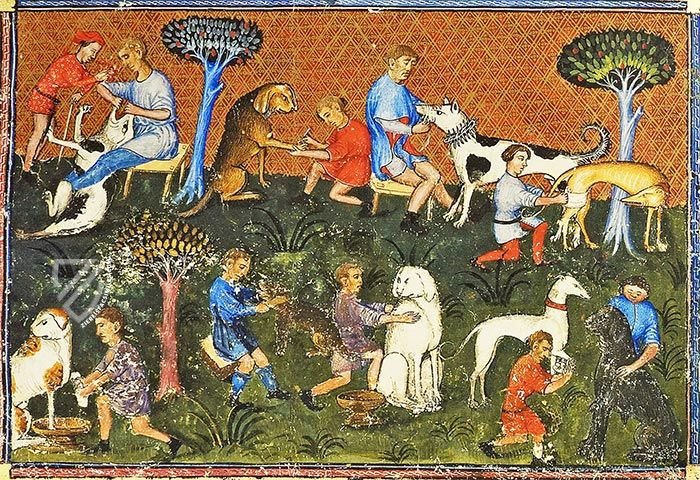 Book of Hunting of Gaston III Phoebus – Orbis Mediaevalis – Ms. OP N.º 2 – The State Hermitage Museum (St. Petersburg, Russia)