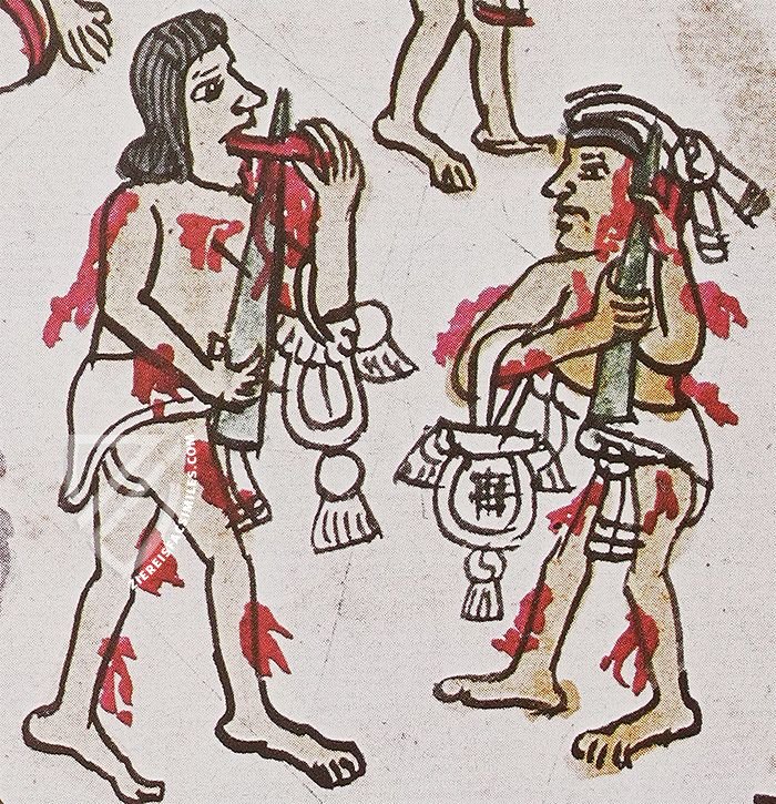 Codex Magliabechiano β Akademische Druck- u. Verlagsanstalt (ADEVA) β Ms. Magl. Cl. XIII.3 β Biblioteca Nazionale Centrale di Firenze (Florence, Italy) Codex Magliabechiano β Akademische Druck- u. Verlagsanstalt (ADEVA) β Ms. Magl. Cl. XIII.3 β Biblioteca Nazionale Centrale di Firenze (Florence, Italy)