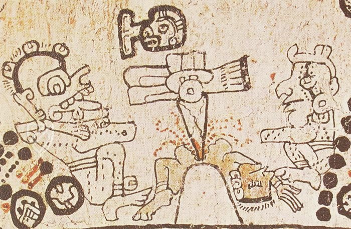 Codex Tro-Cortesianus (Codex Madrid) – Testimonio Compañía Editorial – Inventario: 70300 – Museo de América (Madrid, Spain)