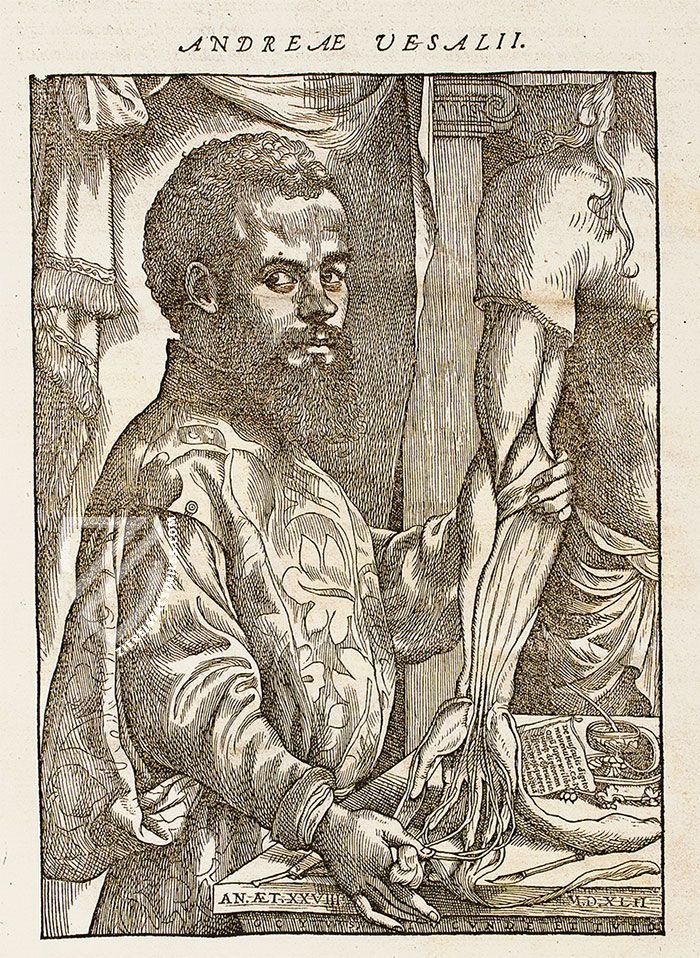 De Humani Corporis Fabrica - Andreas Vesalius – Orbis Pictus – Biblioteka Uniwersytecka Mikołaj Kopernik w Toruniu (Toruń, Poland)