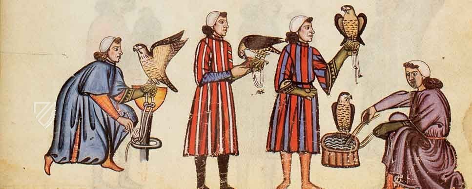 The Art of Falconry by Frederick II – Testimonio Compañía Editorial – Pal. Lat. 1071 – Biblioteca Apostolica Vaticana (Vatican City, State of the Vatican City)