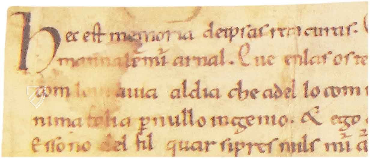 Grievances of Guitard Isarn – Millennium Liber – Pergamí 1910 (4-III-4) – Biblioteca Nacional de Catalunya (Barcelona, Spain)