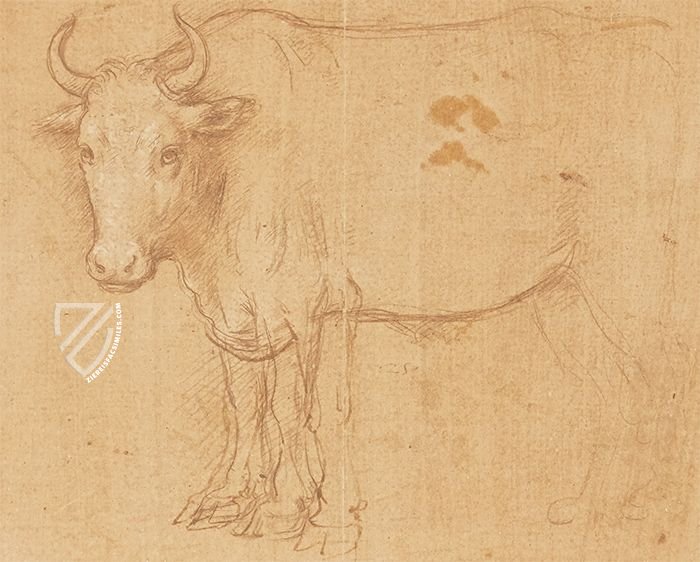The drawings and miscellaneous papers of Leonardo da Vinci in the collection of Her Majesty the Queen at Windsor Castle / Horses and other animals