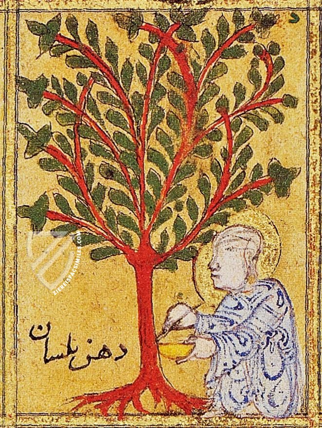 Kitâb al-Diryâq (Thériaque de Paris) – Aboca Museum – Ms. Arabe 2964 – Bibliothèque nationale de France (Paris, France)