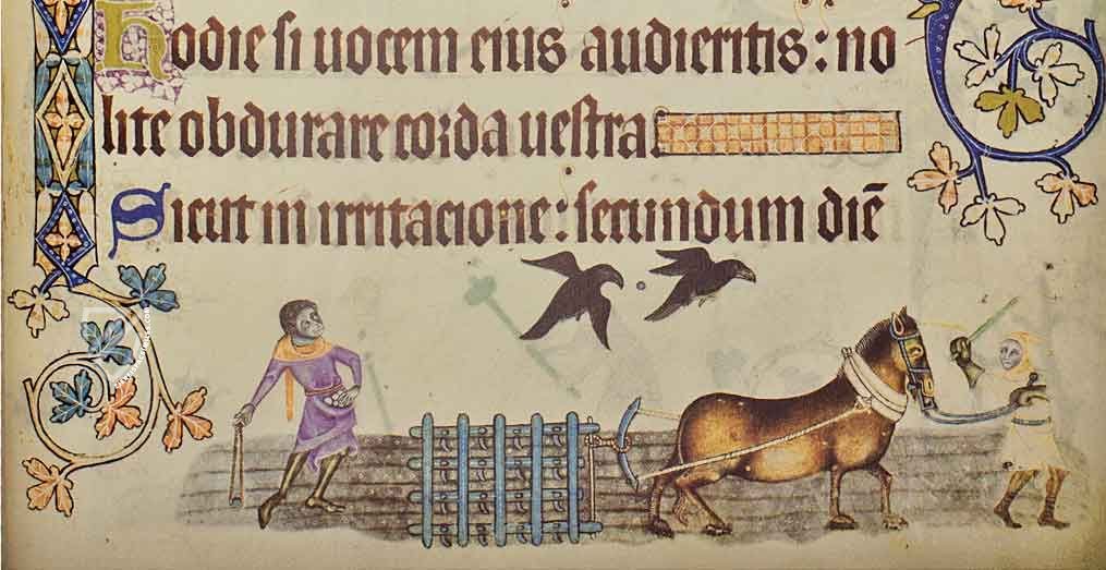 Luttrell Psalter β The Folio Society β Add MS 42130 β British Library (London, United Kingdom) Luttrell Psalter β The Folio Society β Add MS 42130 β British Library (London, United Kingdom)