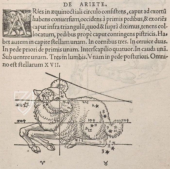 Nicolaus Copernicus - De revolutionibus orbium coelestium libri VI – Orbis Pictus – Pol.6 III.142 – Biblioteka Uniwersytecka Mikołaj Kopernik w Toruniu (Toruń, Poland)