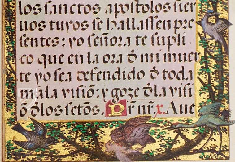 Rosary Psalter of Joanna of Castile β Patrimonio Ediciones β Ms. 257|Ms. Med. 35 β Fitzwilliam Museum (Cambridge, United Kingdom) / Boston Public Library (Boston, USA) Rosary Psalter of Joanna of Castile β Patrimonio Ediciones β Ms. 257|Ms. Med. 35 β Fitzwilliam Museum (Cambridge, United Kingdom) / Boston Public Library (Boston, USA)