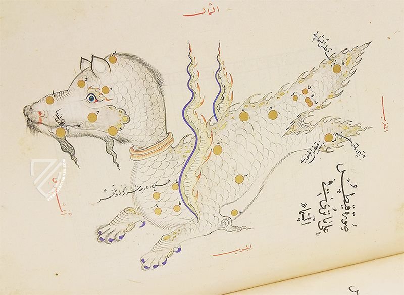 Ulugh Beg's Book of the Constellations – Müller & Schindler  – MS Arabe 5036 – Bibliothèque nationale de France (Paris, France)