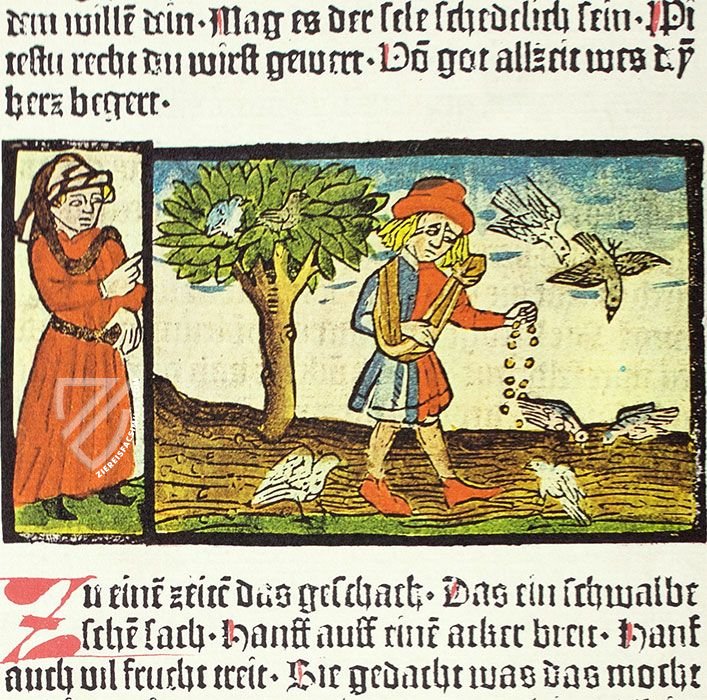 Boner: The Gemstone – Müller & Schindler – 16. I Eth. 2° – Herzog August Bibliothek (Wolfenbüttel, Germany)