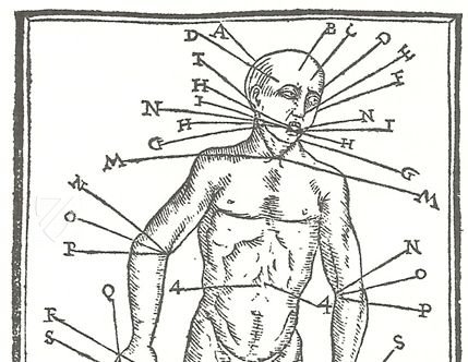 Tractado muy provechoso del anatomia, y phlebotomia de venas y arterias y del anatomia de los nervios, con un tractado de ventosas y otro de sanguijuelas con unas reglas generales para saber los dias aptos para las sangrias – Vicent Garcia Editores – 