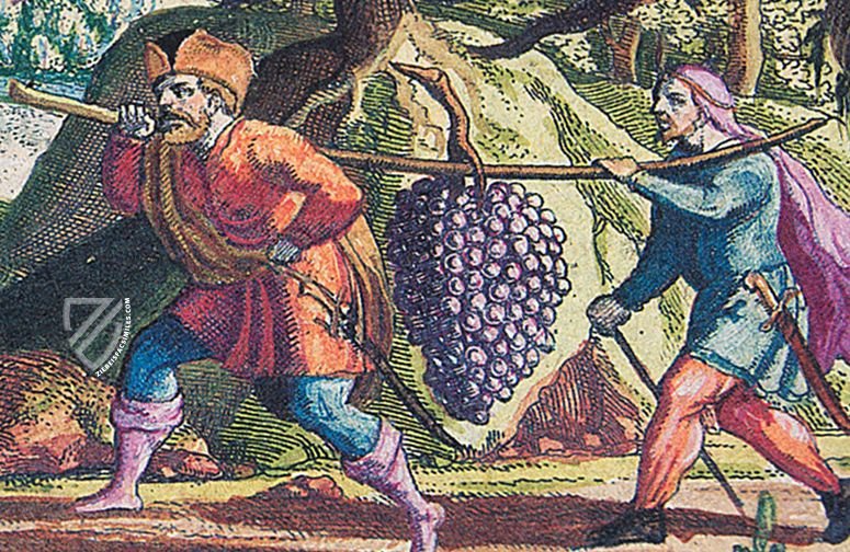 Matthew Merian's Bible of 1630 - Old Testament â Coron Verlag â Ausst. 303 â Stadt- und UniversitĂ€tsbibliothek (Frankfurt am Main, Germany) Matthew Merian's Bible of 1630 - Old Testament â Coron Verlag â Ausst. 303 â Stadt- und UniversitĂ€tsbibliothek (Frankfurt am Main, Germany)