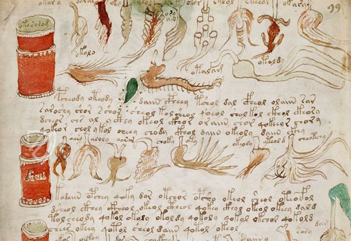 Voynich Manuscript – Siloé, arte y bibliofilia – MS 408 – Beinecke Rare Book and Manuscript Library (New Haven, USA)