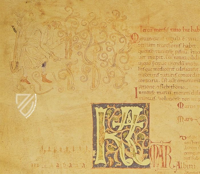 Liber Magistri – Tip.Le.Co – Cod. 65 – Archivio Capitolare della Cattedrale (Piacenza, Italy)