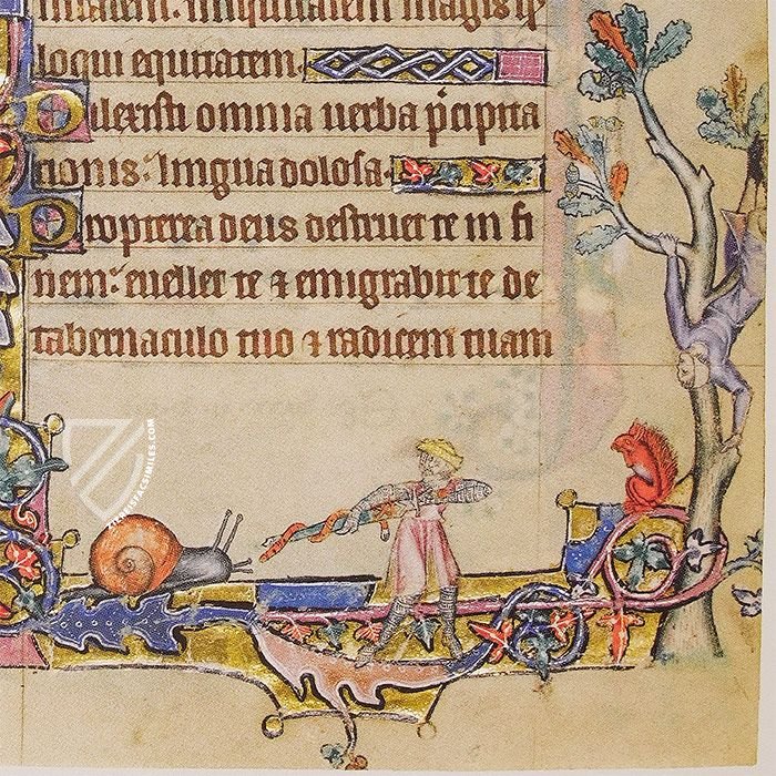 Macclesfield Psalter β Thames and Hudson β MS 1β2005 β Fitzwilliam Museum (Cambridge, United Kingdom) Macclesfield Psalter β Thames and Hudson β MS 1β2005 β Fitzwilliam Museum (Cambridge, United Kingdom)