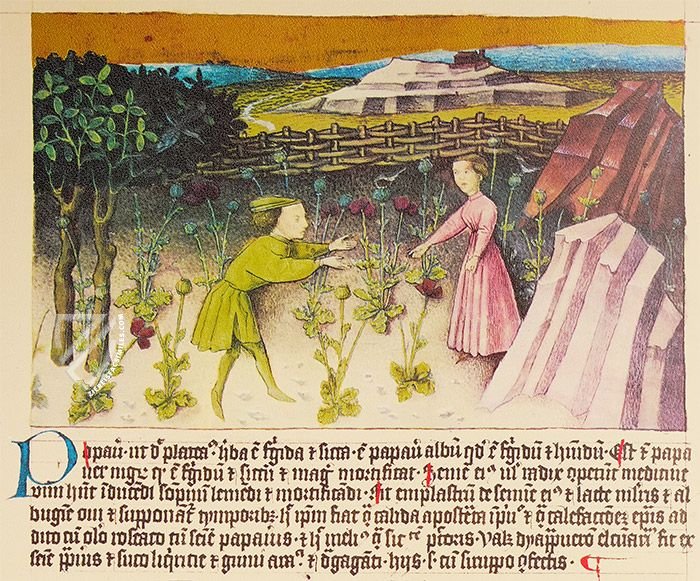 Liber de natura rerum - Codex C-67 β Universidad de Granada β C-67 β Biblioteca Universitaria de Granada (Granada, Spain) Liber de natura rerum - Codex C-67 β Universidad de Granada β C-67 β Biblioteca Universitaria de Granada (Granada, Spain)