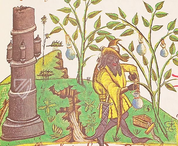 Book of Simple Medicines - Codex Bruxellensis – De Schutter – Codex Bruxellensis IV. 1024 – Bibliothèque Royale de Belgique (Brussels, Belgium)