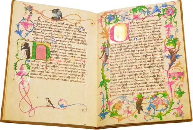 A Textbook for Emperor Maximilian I. – Andreas & Andreas Verlagsbuchhandlung – Cod. Ser. n. 2617 – Österreichische Nationalbibliothek (Vienna, Austria)