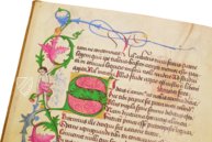 A Textbook for Emperor Maximilian I. – Andreas & Andreas Verlagsbuchhandlung – Cod. Ser. n. 2617 – Österreichische Nationalbibliothek (Vienna, Austria)