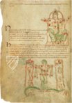 Aberystwyth Aratea – Ms. 735C – National Library of Wales (Aberystwyth, Wales) Facsimile Edition