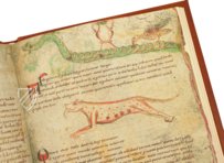 Aberystwyth Aratea – Quaternio Verlag Luzern – Ms. 735C – National Library of Wales (Aberystwyth, United Kingdom)
