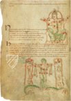 Aberystwyth Aratea – Quaternio Verlag Luzern – Ms. 735C – National Library of Wales (Aberystwyth, United Kingdom)
