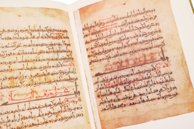 Abu Mansur Muwaffak ibn Ali al-Harawi: The Foundations of the True Properties of Remedies – Akademische Druck- u. Verlagsanstalt (ADEVA) – Cod. A. F. 340 – Österreichische Nationalbibliothek (Vienna, Austria)