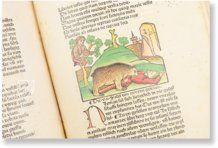 Aesopus - Vita et Fabulae – Edition Libri Illustri – Museum Otto Schäfer (Schweinfurt, Germany)