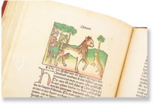 Aesopus - Vita et Fabulae – Edition Libri Illustri – Museum Otto Schäfer (Schweinfurt, Germany)