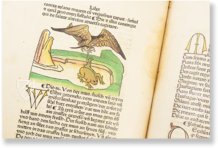 Aesopus - Vita et Fabulae – Edition Libri Illustri – Museum Otto Schäfer (Schweinfurt, Germany)